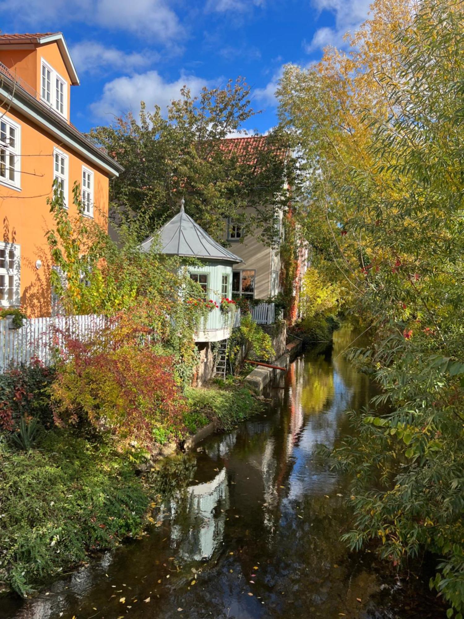 Ferienwohnung Schildblick Modernes Apartment Direkt In Der Altstadt Von Erfurt Nahe Der Kraemerbruecke - Beste Innenstadtlage Eksteriør bilde